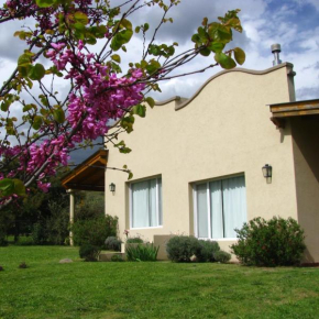 Casas Tomillo Silvestre